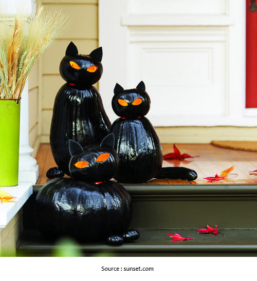 Chats noirs citrouille